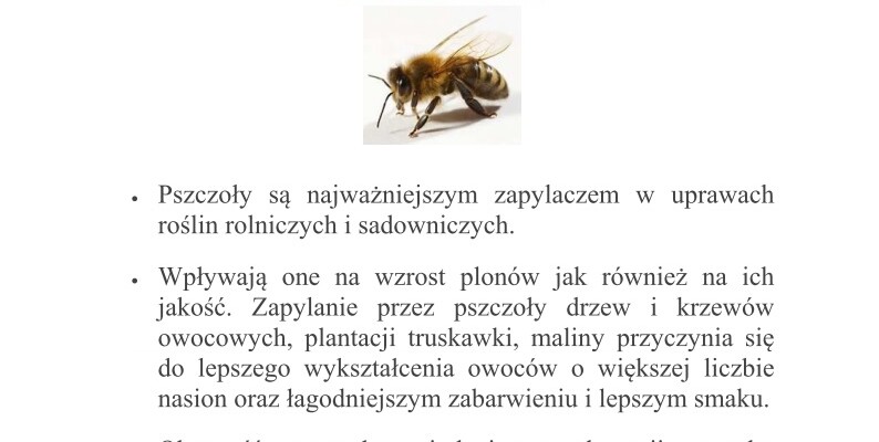 Zasady stosowania środków ochrony roślin w sposób bezpieczny dla pszczół